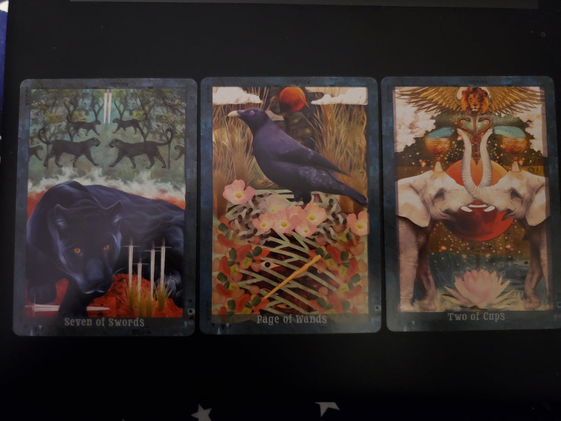 Tarot of the Week for March 24, 2025
